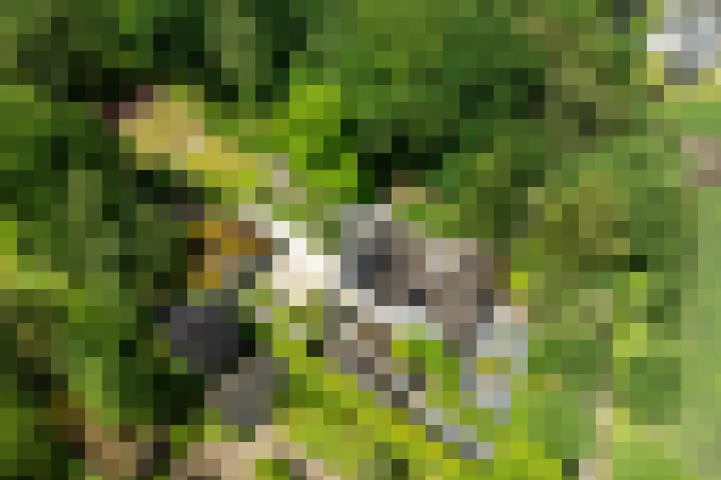 Vaarbekerweg 20 't Harde thumbnail 81