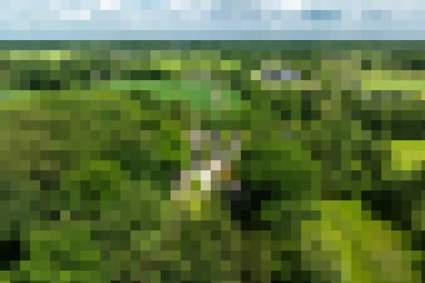 Vaarbekerweg 20 't Harde thumbnail 9