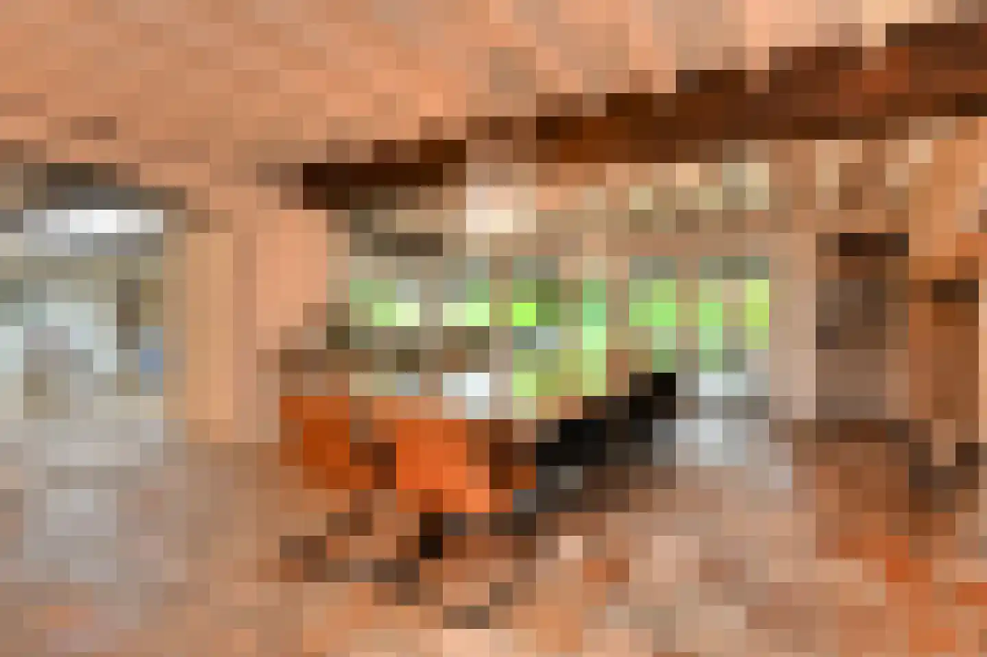 Vaareindseweg 65 Breda thumbnail 20