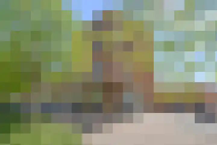 Vaareindseweg 65 Breda thumbnail 24