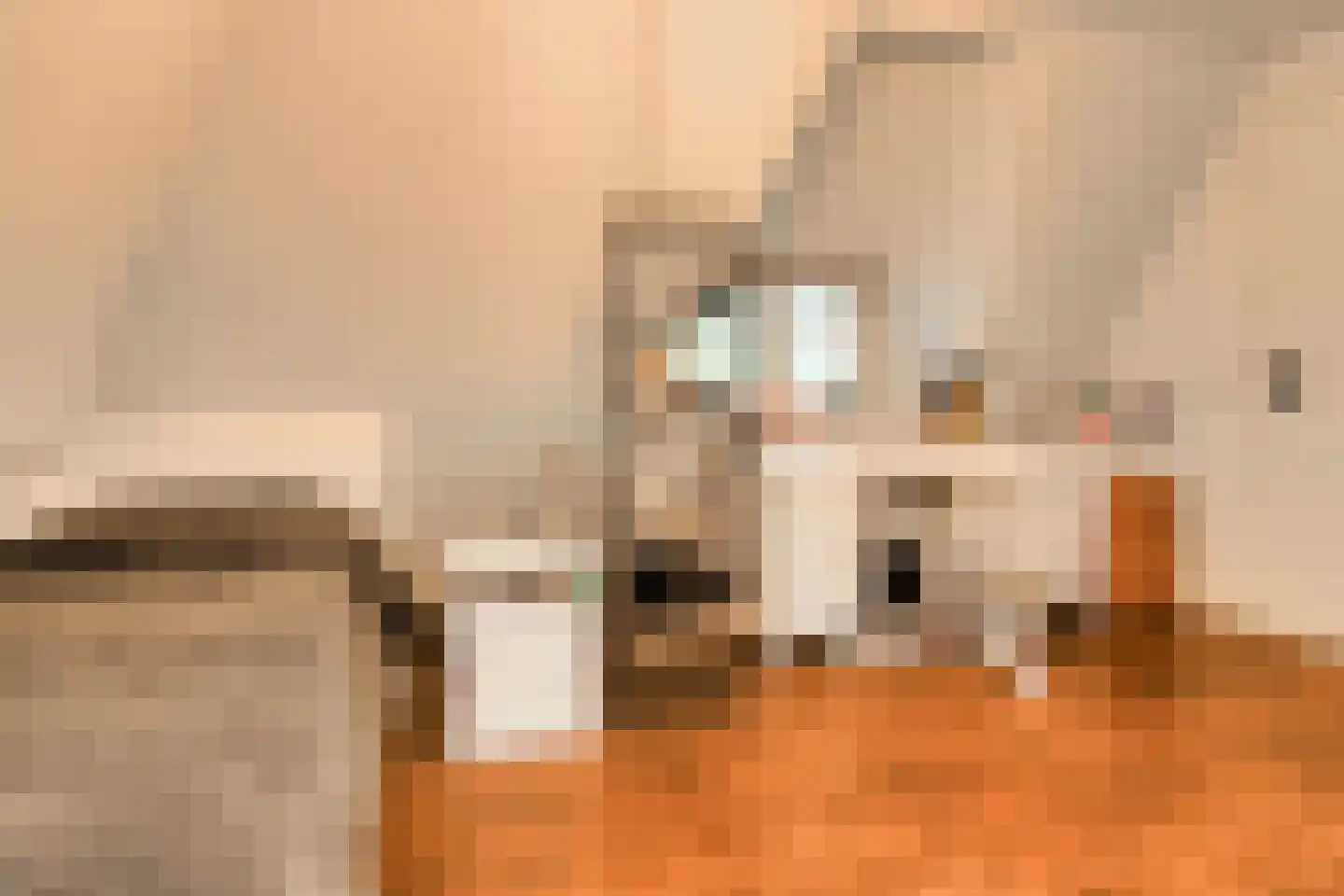 Vaareindseweg 65 Breda thumbnail 28