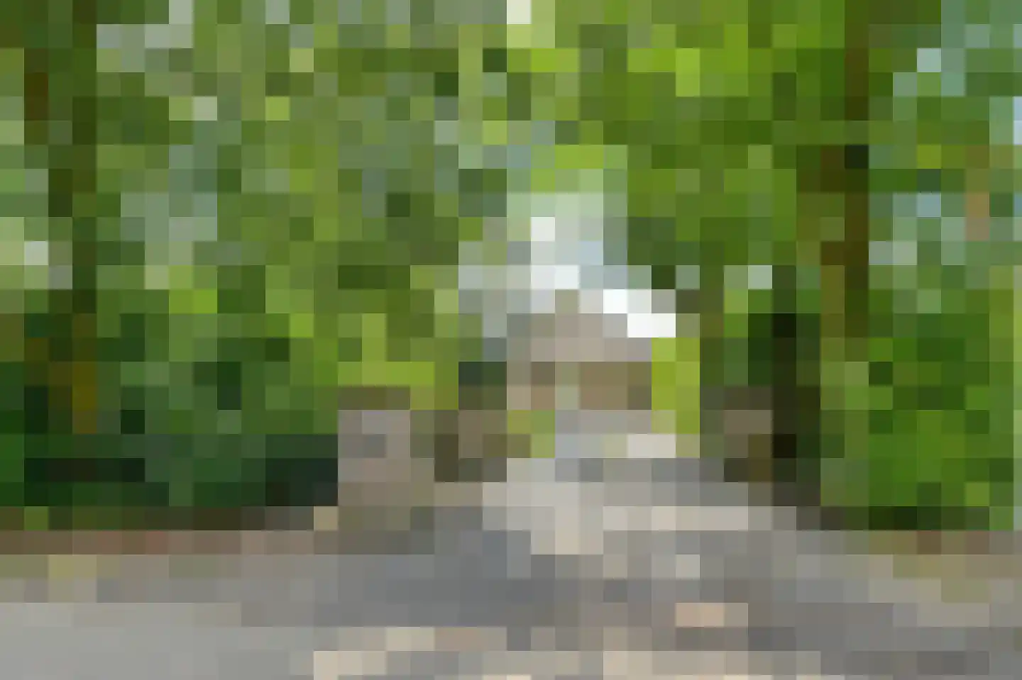 Vaareindseweg 65 Breda thumbnail 4