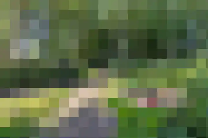 Vaareindseweg 65 Breda thumbnail 42