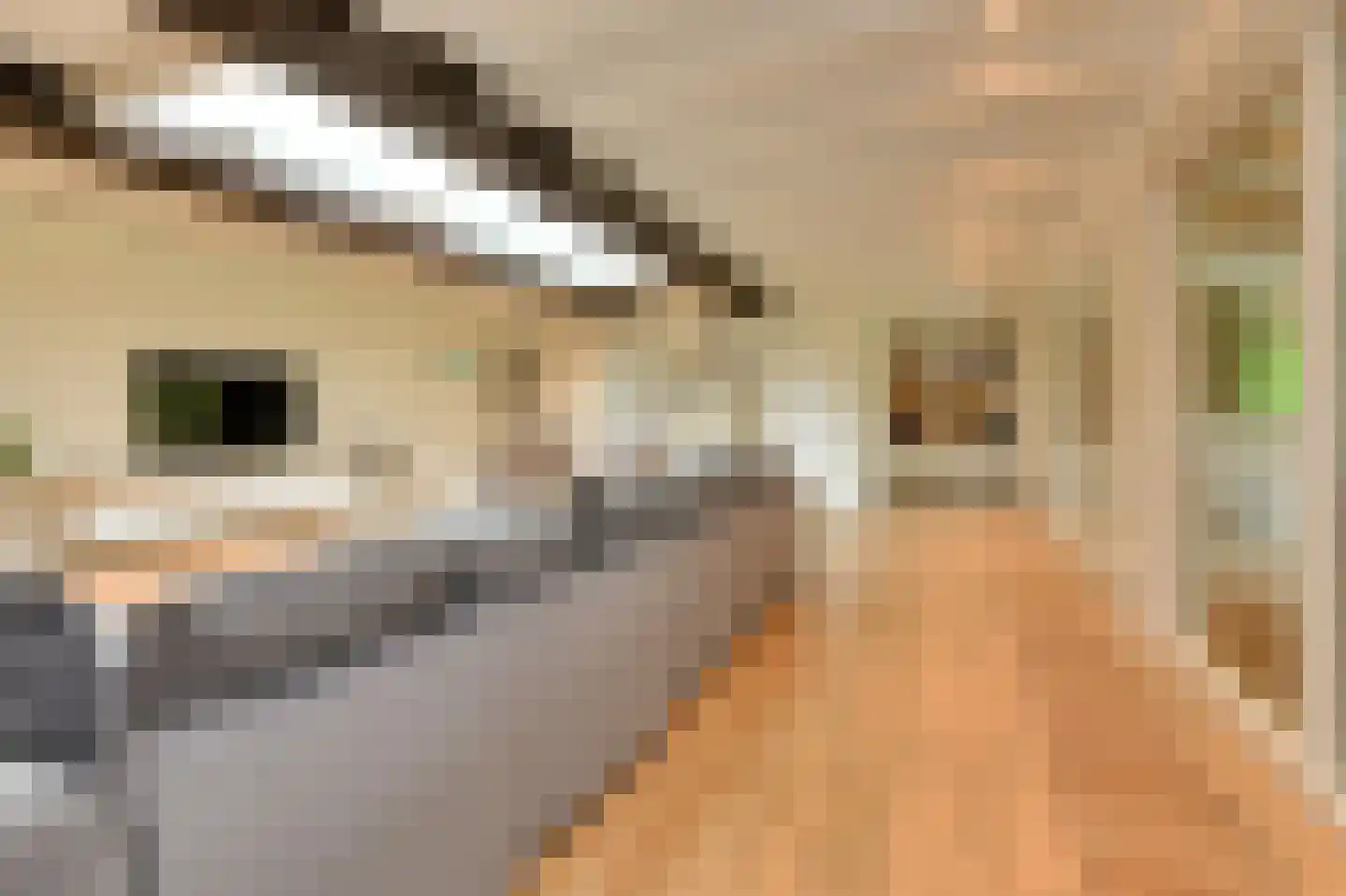Vaareindseweg 65 Breda thumbnail 43
