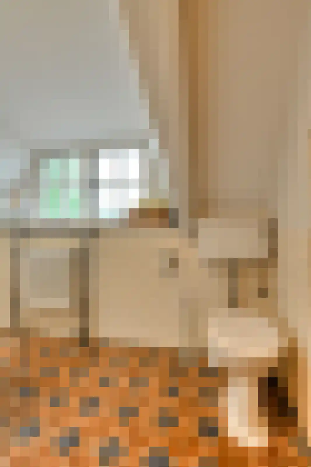 Vaareindseweg 65 Breda thumbnail 47