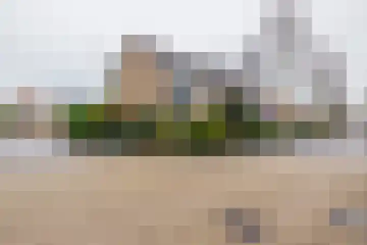 Vaareindseweg 65 Breda thumbnail 5