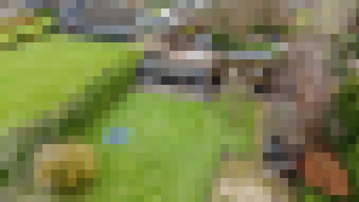 Vaareindseweg 65 Breda thumbnail 50