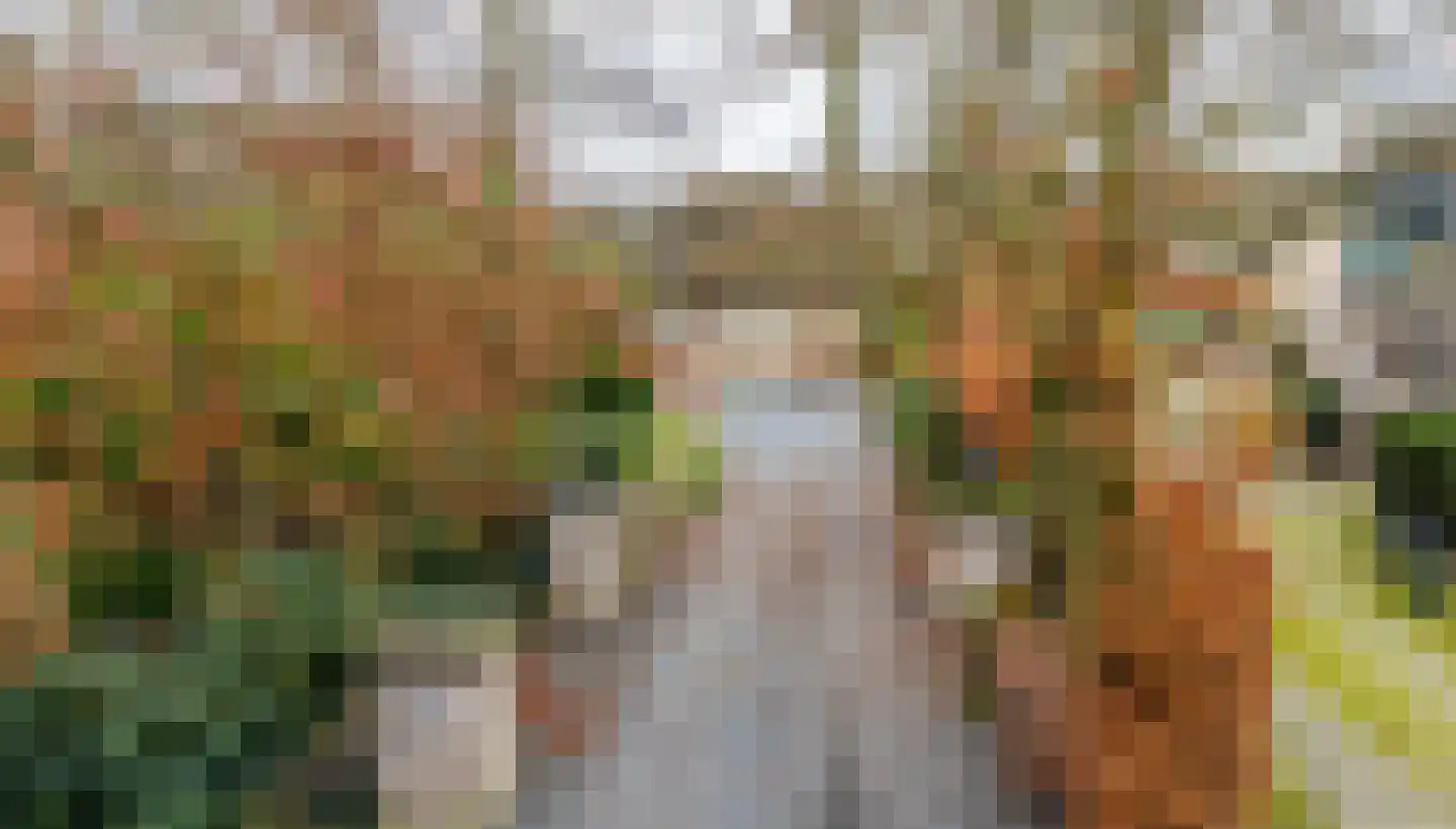 Vaareindseweg 65 Breda thumbnail 54