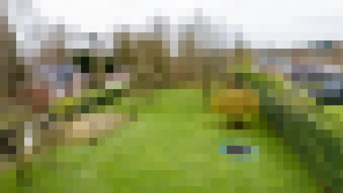 Vaareindseweg 65 Breda thumbnail 56