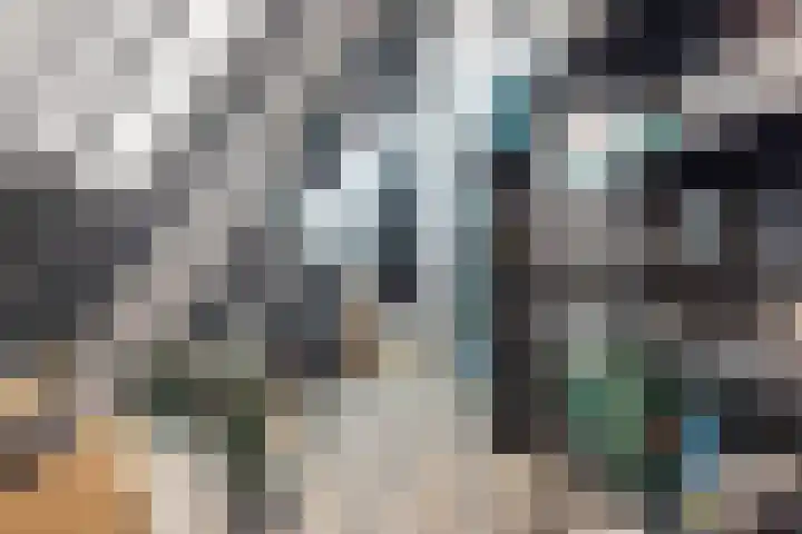 Vaareindseweg 65 Breda thumbnail 58