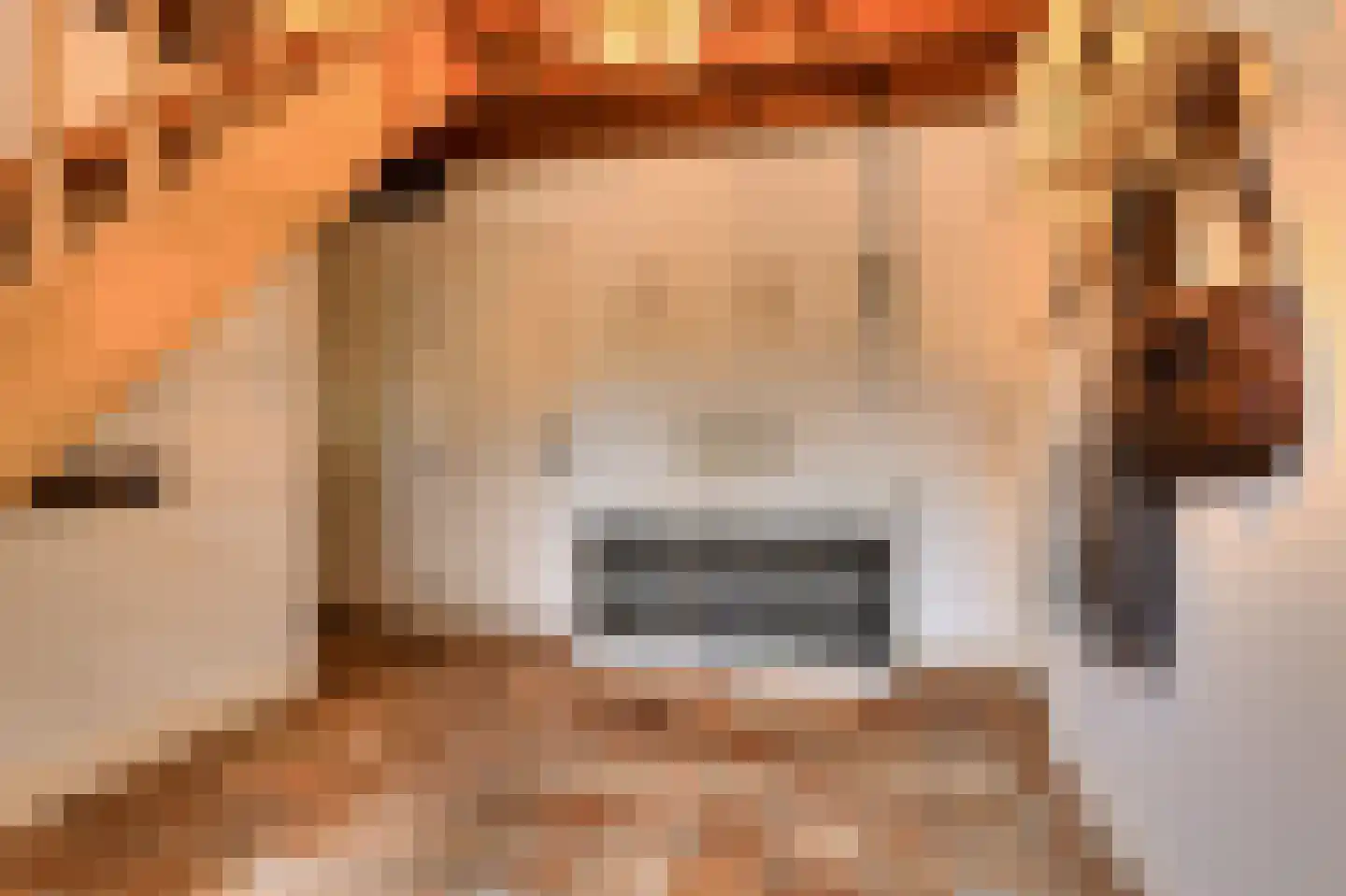 Vaareindseweg 65 Breda thumbnail 6