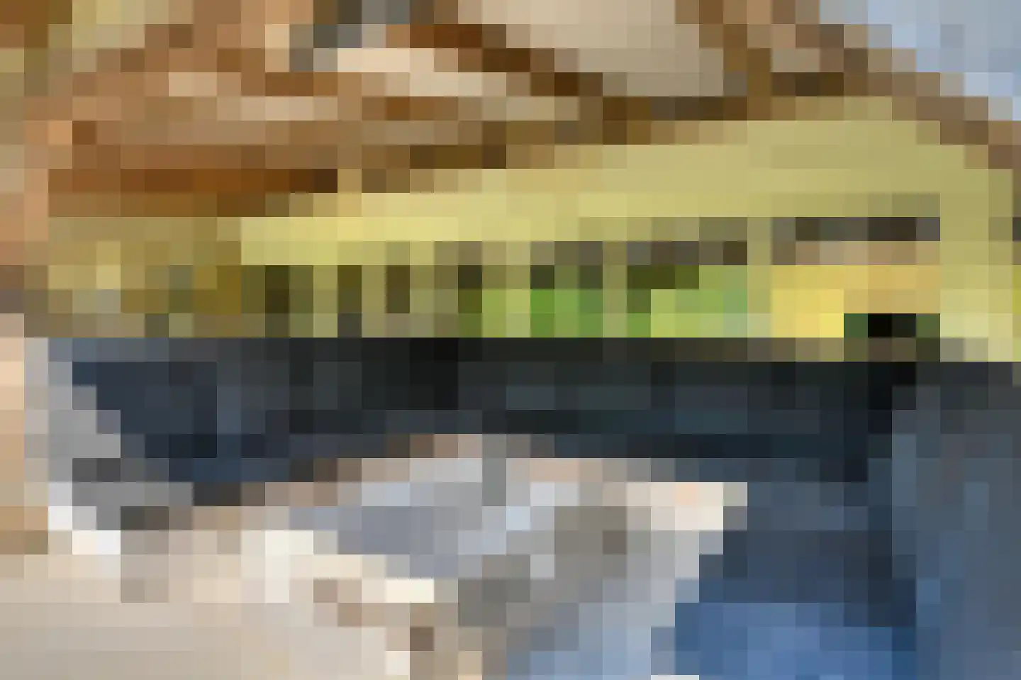 Vaareindseweg 65 Breda thumbnail 62