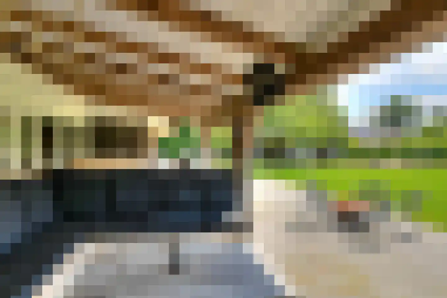 Vaareindseweg 65 Breda thumbnail 63