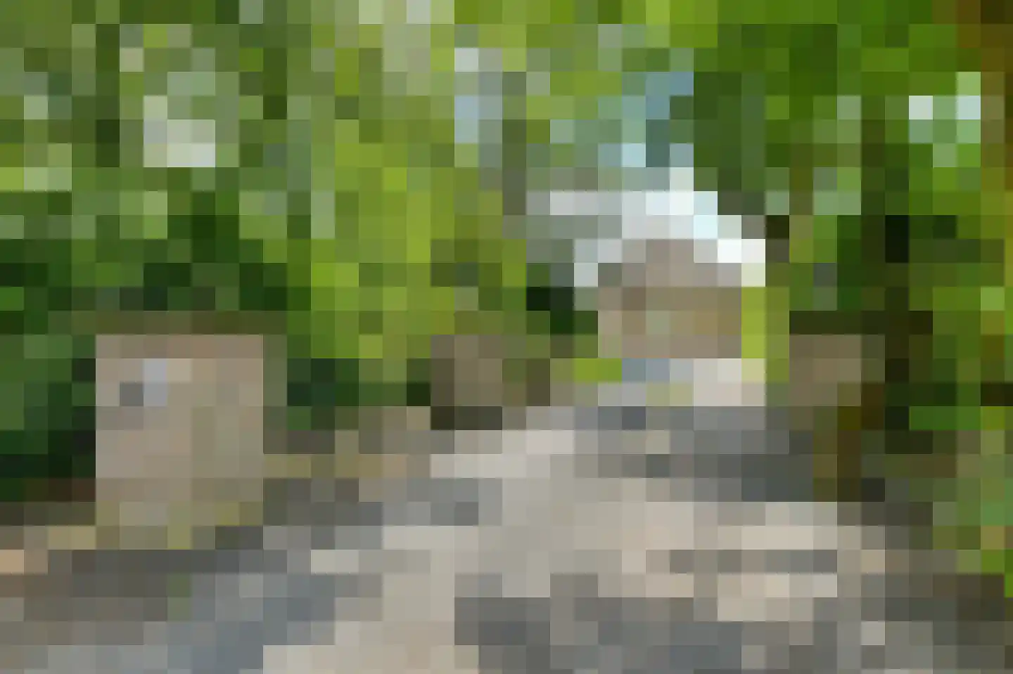 Vaareindseweg 65 Breda thumbnail 79