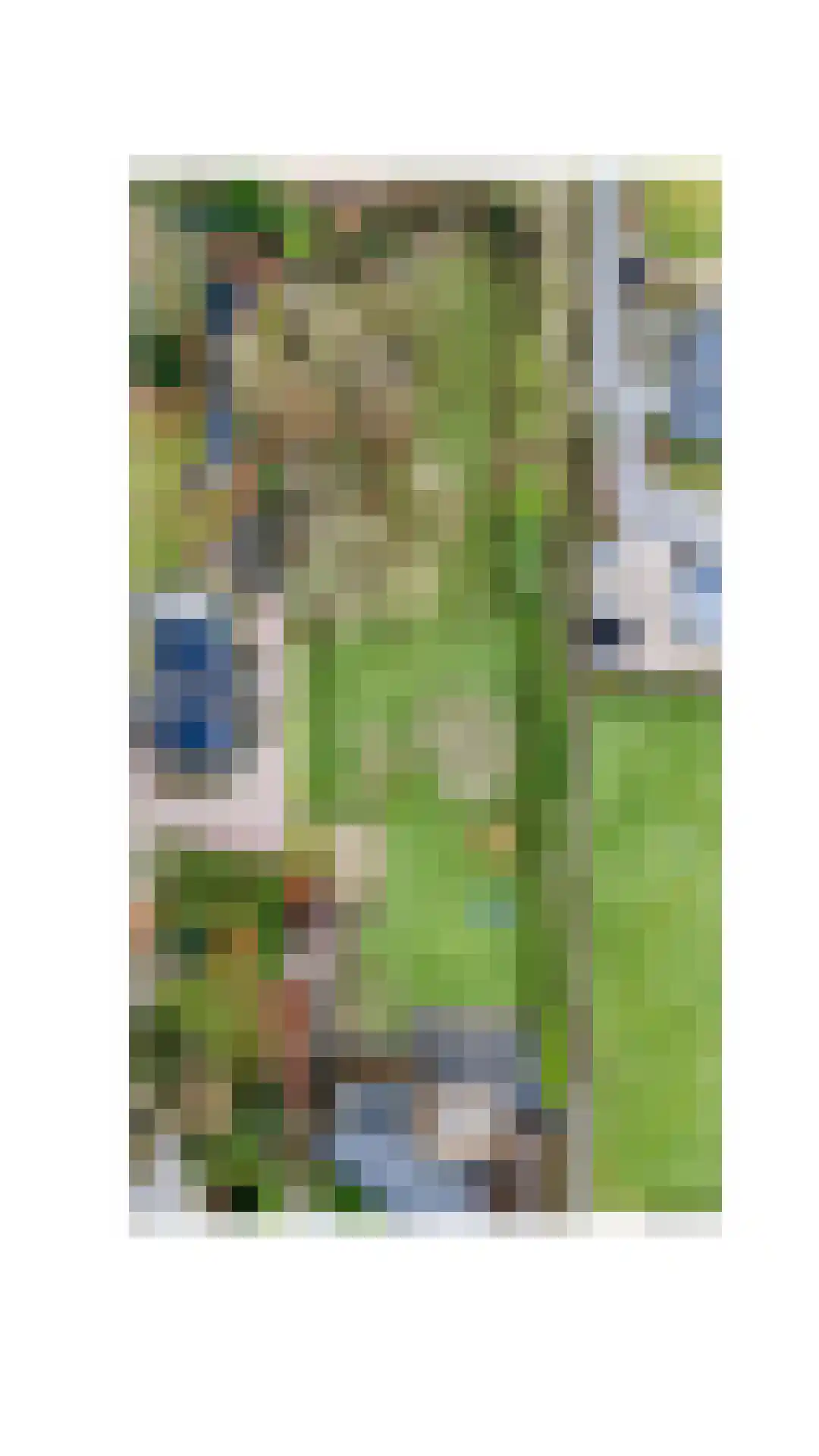 Vaareindseweg 65 Breda thumbnail 82