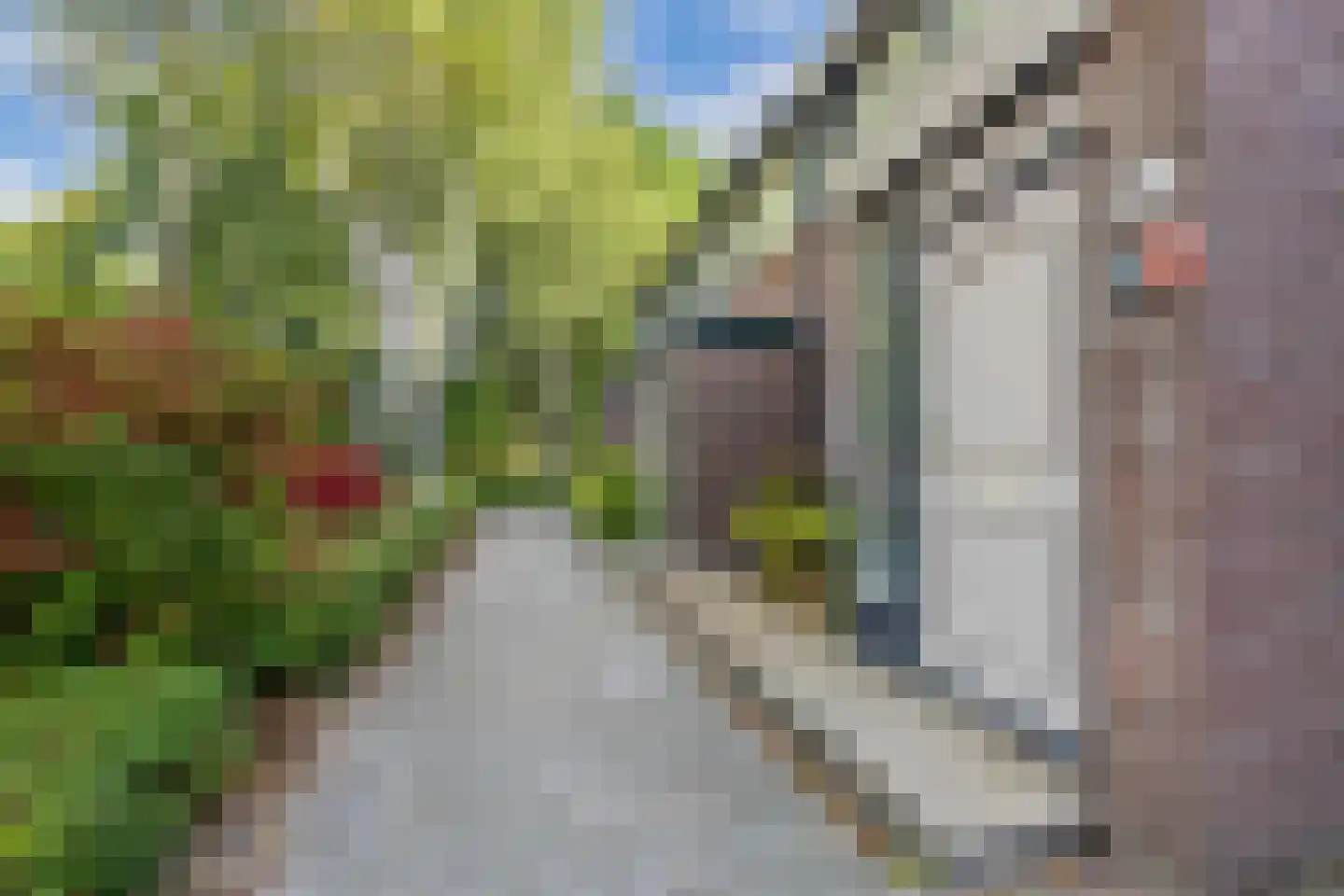 Vaargeul 114 Groningen thumbnail 12