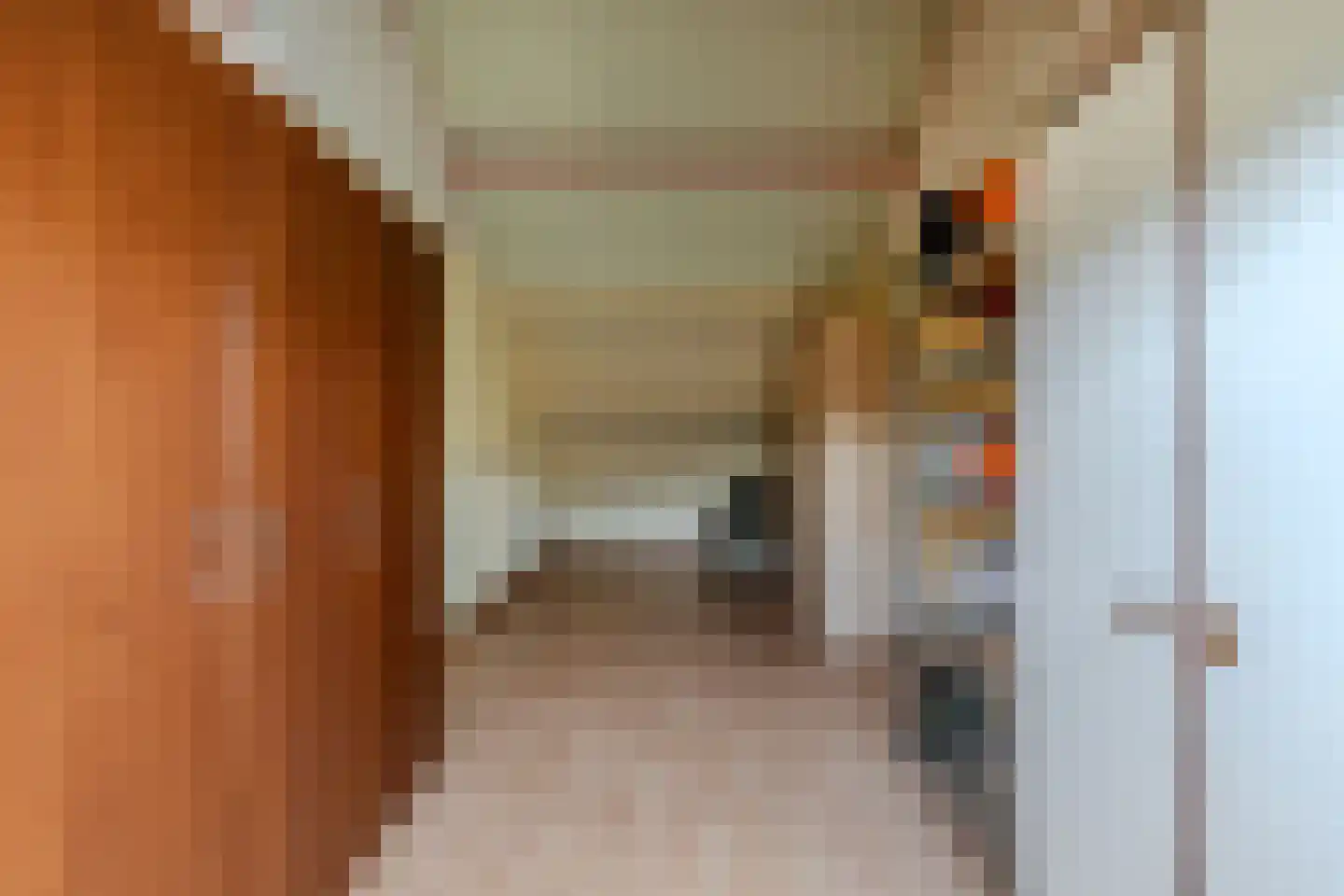 Vaargeul 114 Groningen thumbnail 37