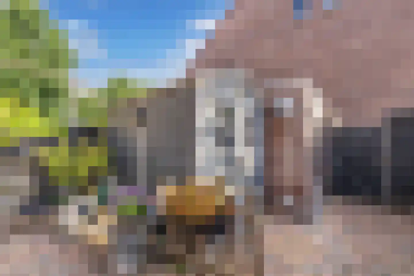 Vaargeul 114 Groningen thumbnail 40