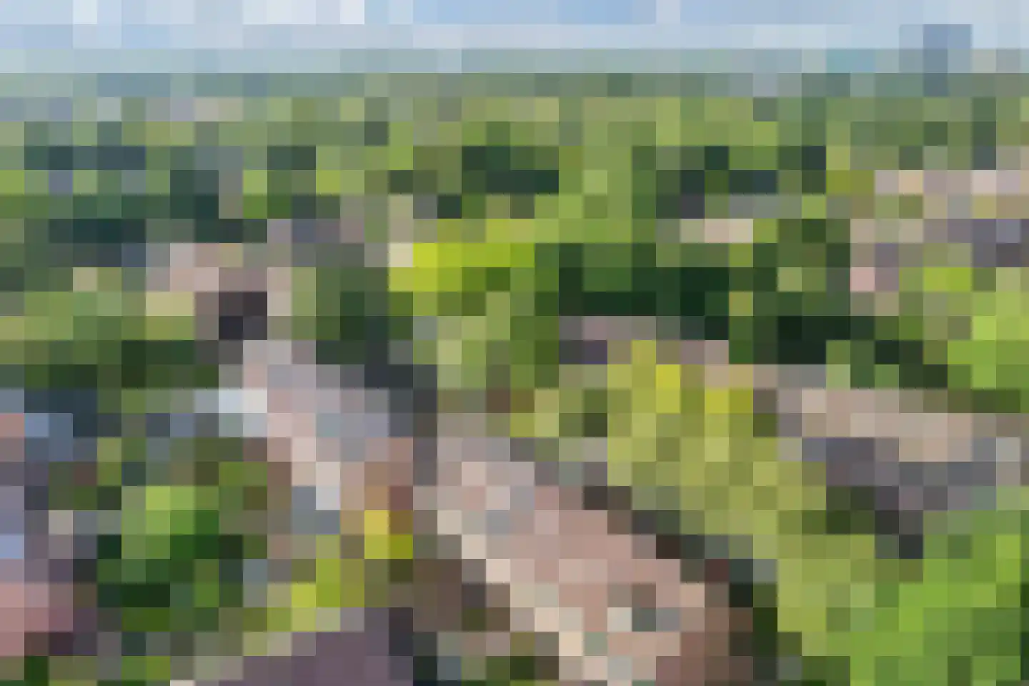 Vaargeul 114 Groningen thumbnail 45