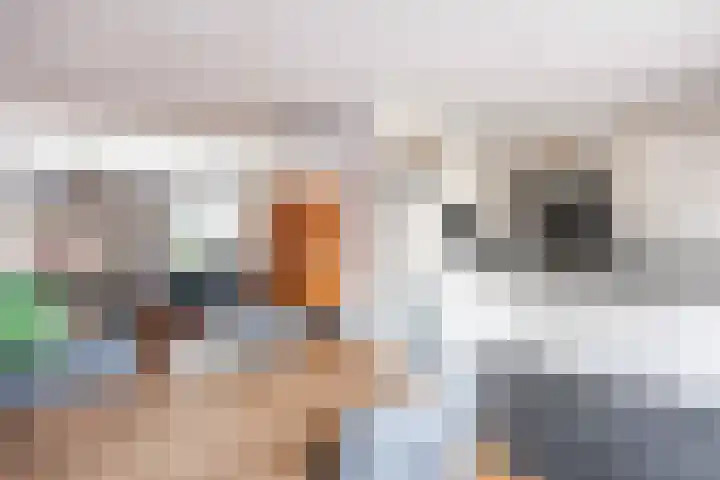 Vaargeul 13 Groningen thumbnail 14