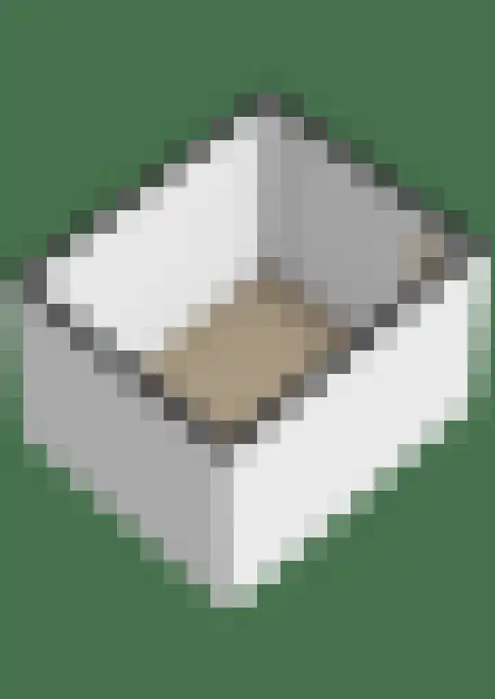 Vaargeul 13 Groningen thumbnail 39
