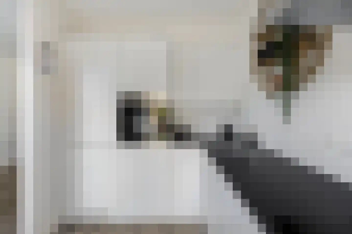 Vaargeul 14 Groningen thumbnail 19