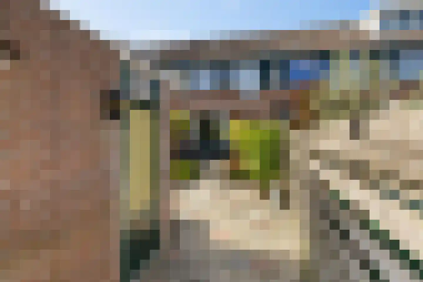 Vaargeul 14 Groningen thumbnail 23