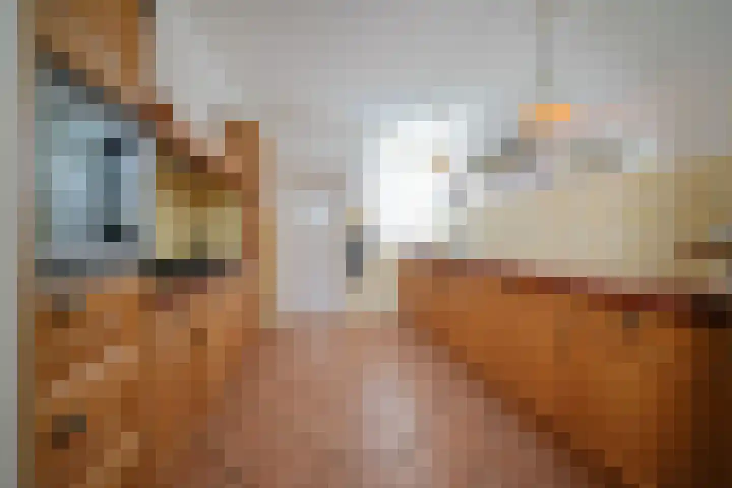 Vaargeul 17 Den Burg thumbnail 10
