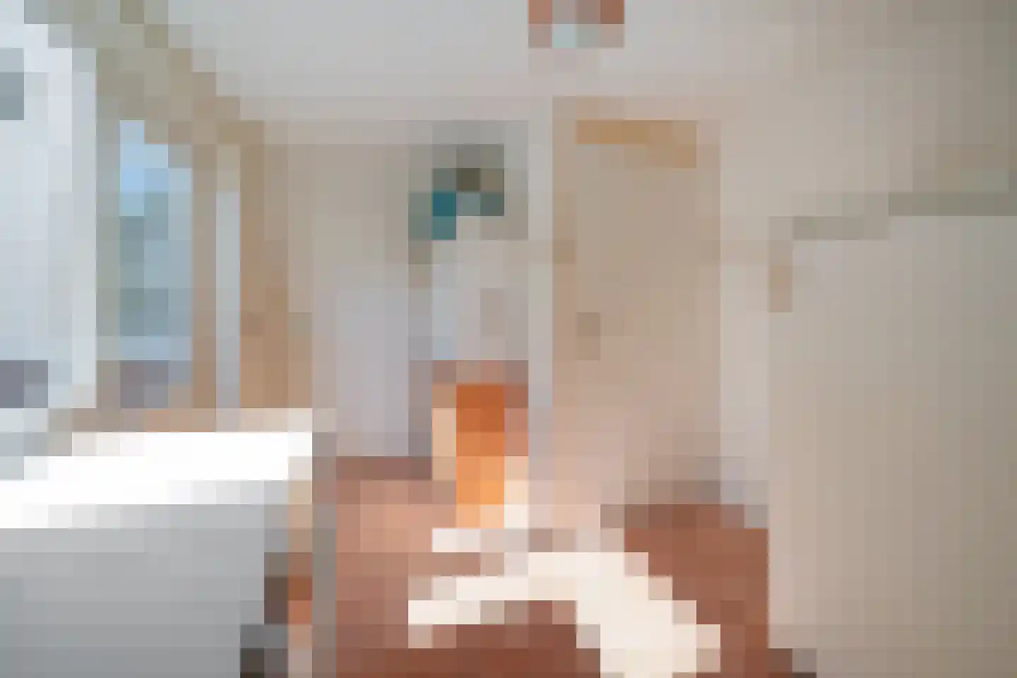 Vaargeul 17 Den Burg thumbnail 12