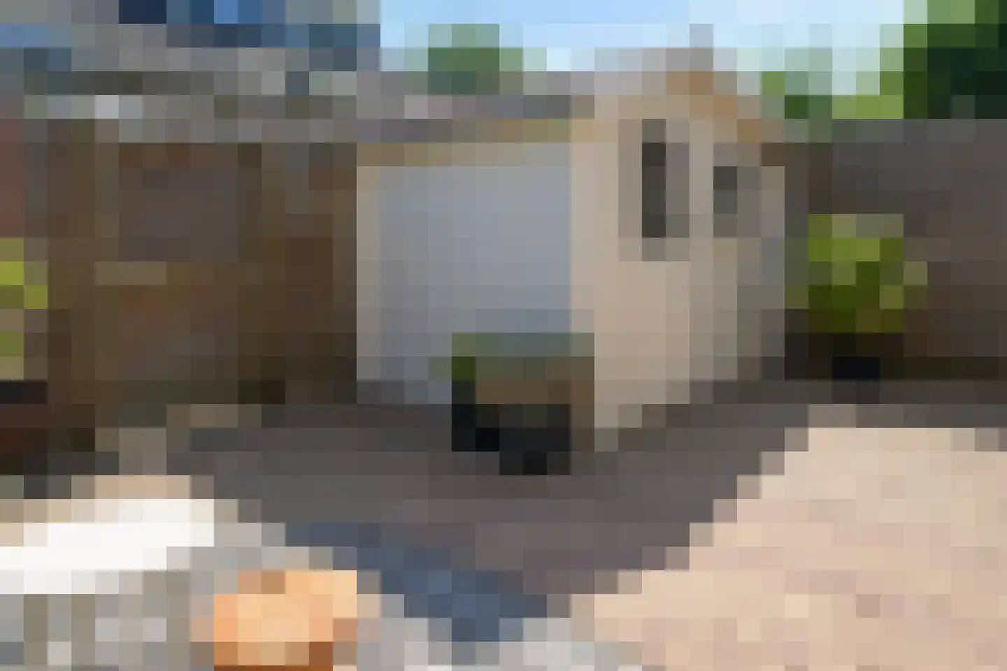 Vaargeul 17 Den Burg thumbnail 14