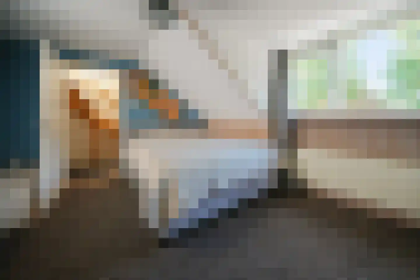 Vaargeul 17 Den Burg thumbnail 21