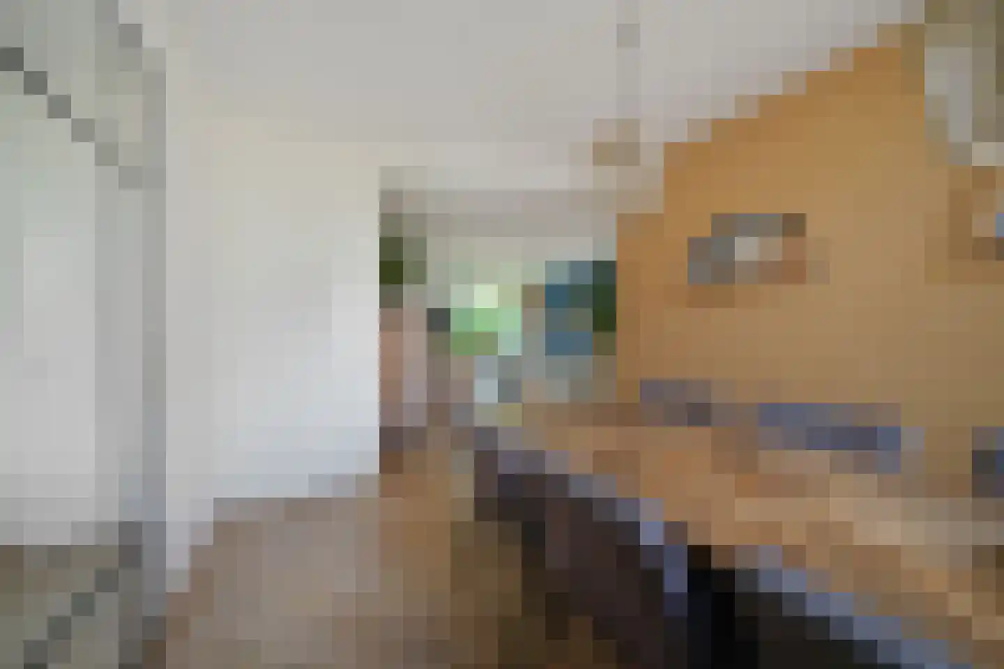 Vaargeul 17 Den Burg thumbnail 7