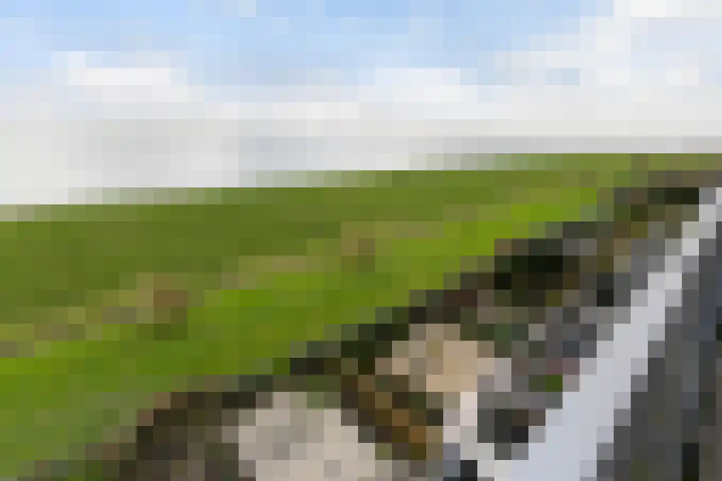Vaargeul 178 Hellevoetsluis thumbnail 17