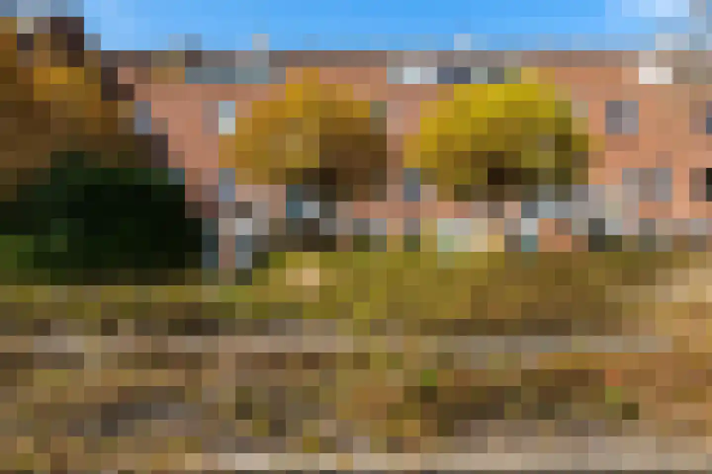 Vaargeul 188 Groningen thumbnail 27