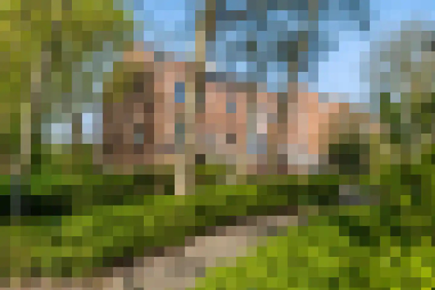 Vaargeul 188 Groningen thumbnail 4