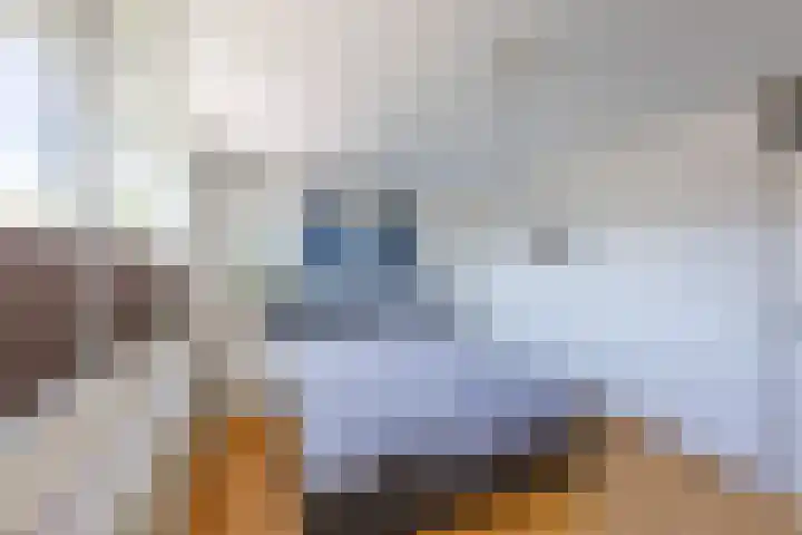 Vaargeul 20 Groningen thumbnail 19
