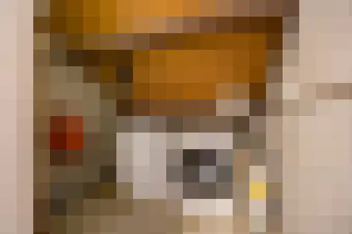 Vaargeul 20 Groningen thumbnail 34