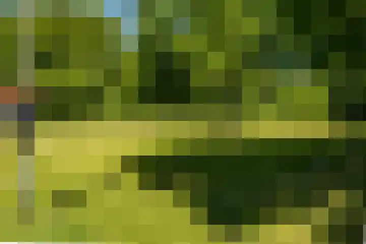 Vaargeul 20 Groningen thumbnail 44