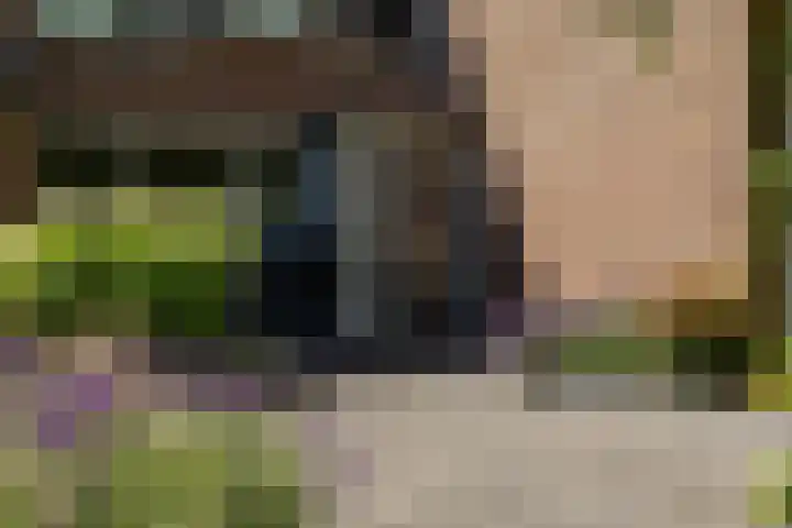Vaargeul 20 Groningen thumbnail 7