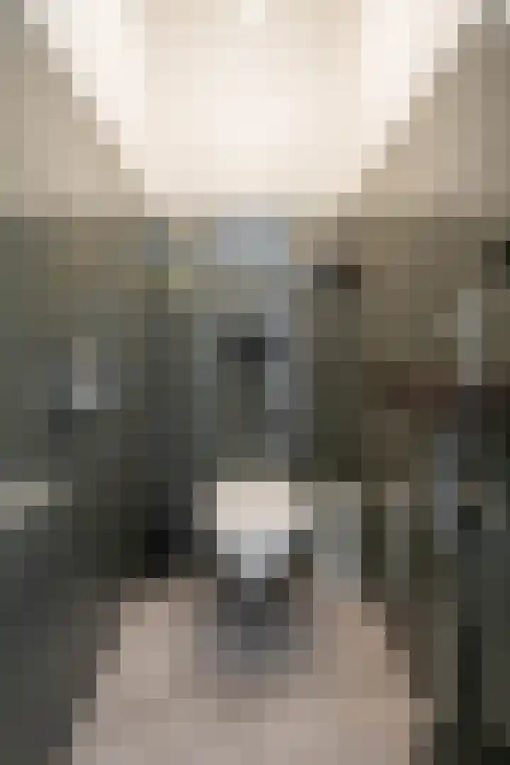 Vaargeul 212 Groningen thumbnail 18