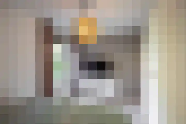 Vaargeul 212 Groningen thumbnail 21