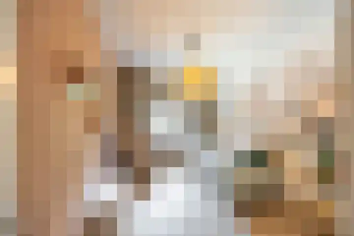 Vaargeul 212 Groningen thumbnail 24