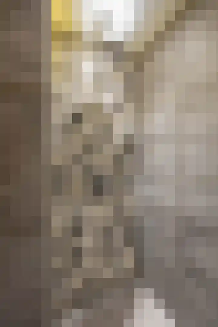 Vaargeul 212 Groningen thumbnail 27