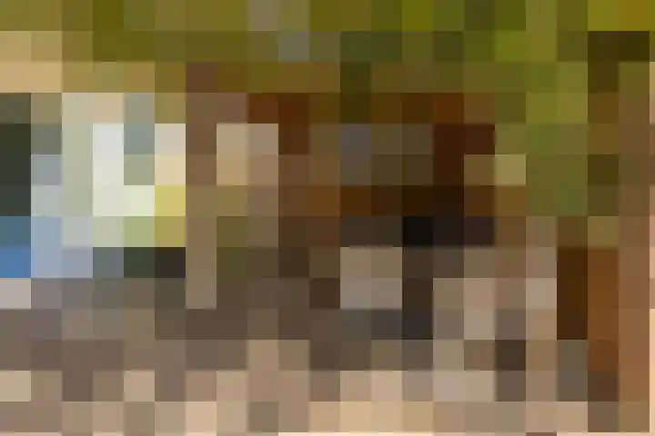 Vaargeul 212 Groningen thumbnail 31