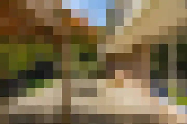 Vaargeul 212 Groningen thumbnail 32