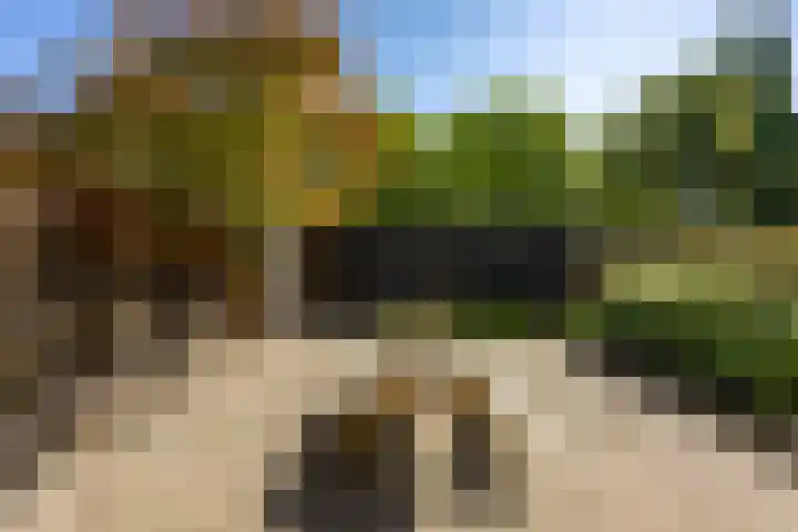 Vaargeul 212 Groningen thumbnail 33