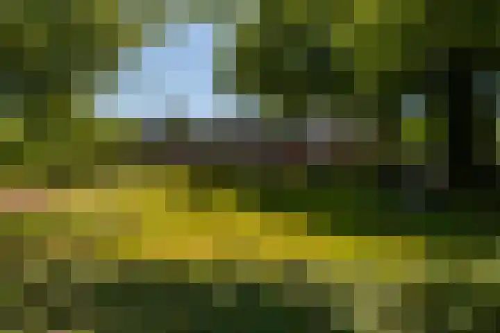 Vaargeul 212 Groningen thumbnail 38