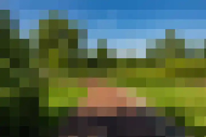 Vaargeul 212 Groningen thumbnail 39