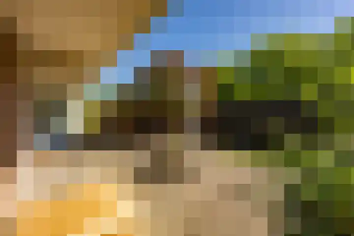 Vaargeul 212 Groningen thumbnail 5