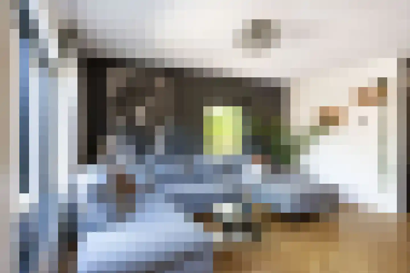 Vaargeul 221 Groningen thumbnail 13